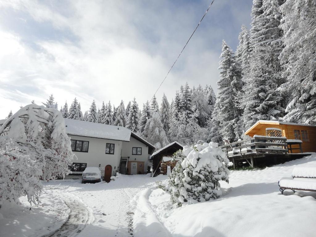 Ferienhaus Hollinger Appartement Verditz Buitenkant foto